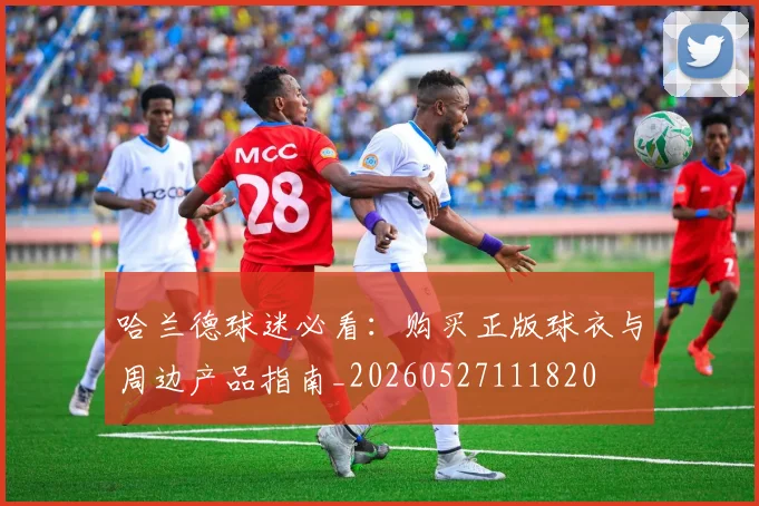 哈兰德球迷必看:购买正版球衣与周边产品指南_20260527111820
