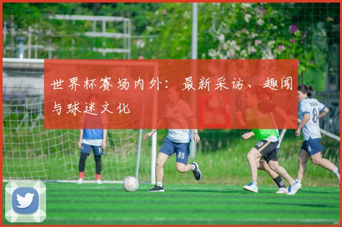 世界杯赛场内外：最新采访、趣闻与球迷文化