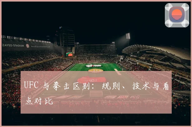 UFC 与拳击区别:规则、技术与看点对比